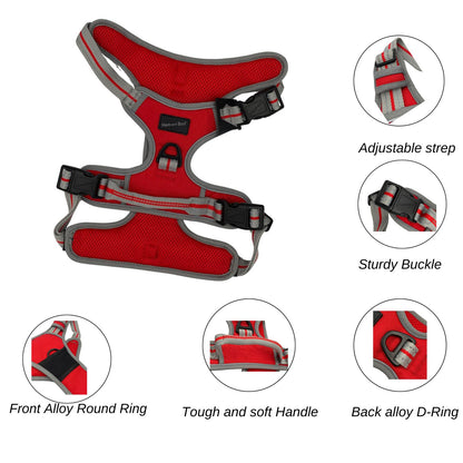 X Sm Sports Harness Red