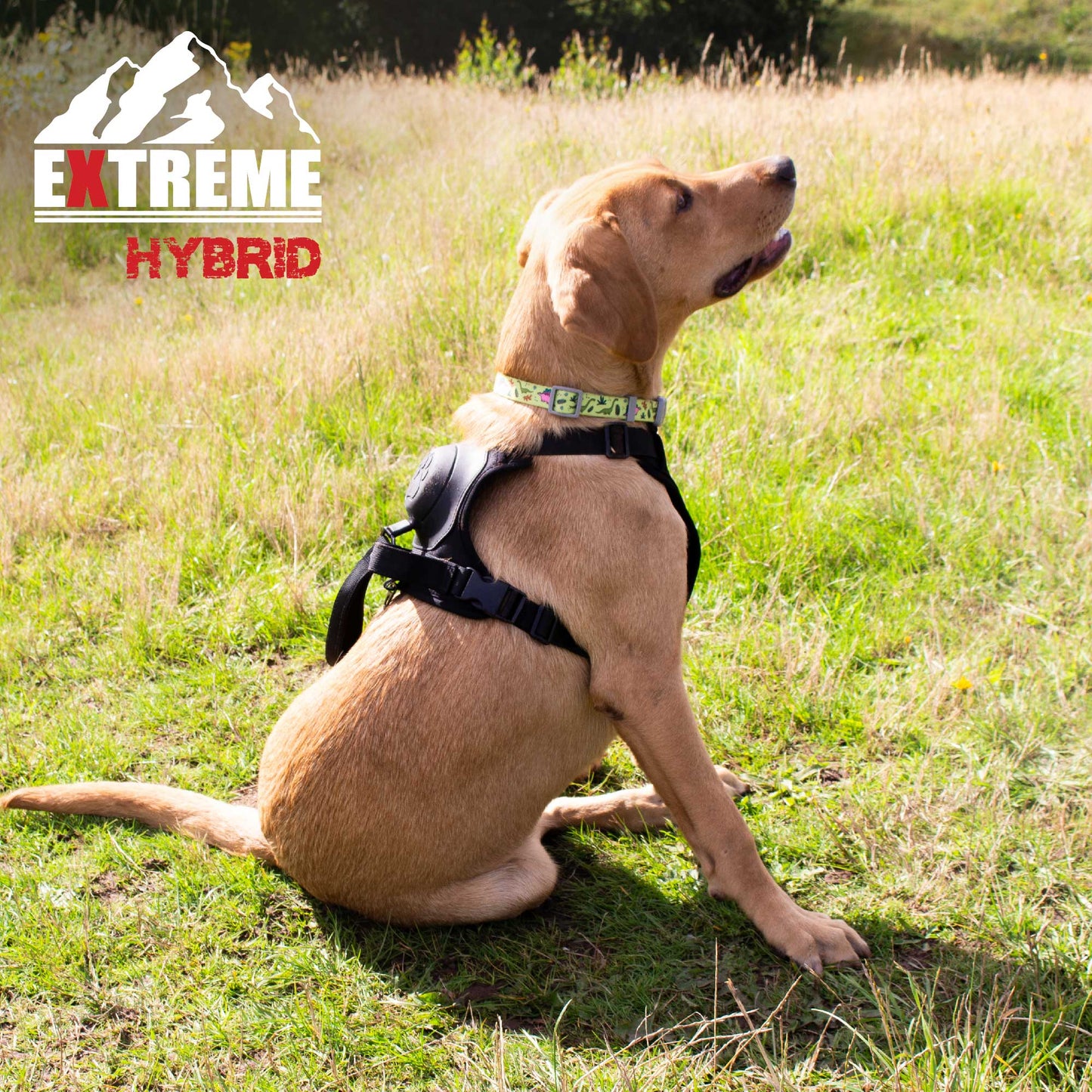 Extreme Hybrid Harness Tactical Black - Extra Large