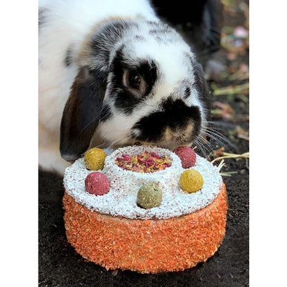 Celebration Birthday Cake Small Animal Treat