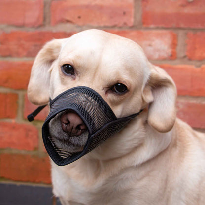 Ancol Obedia Mesh Dog Muzzle Size 0: 11x8.5cm