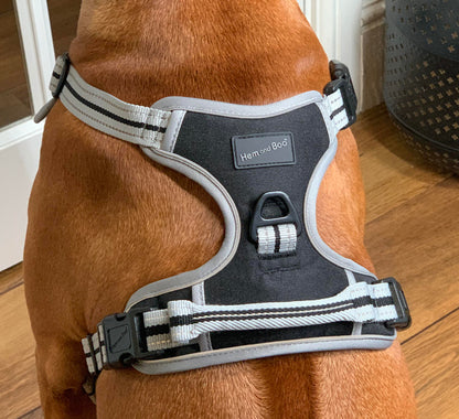 Large Sports Harness Black