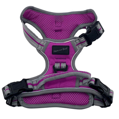 Medium Sports Harness Purple