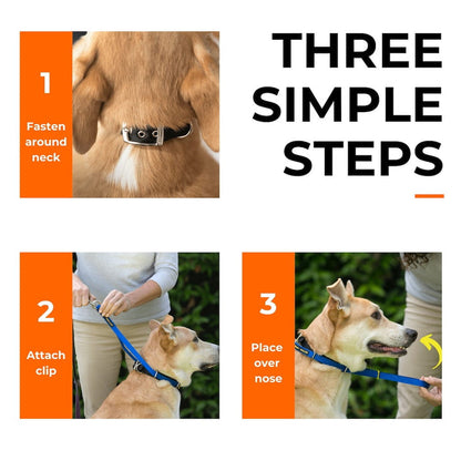 Canny Collar No-Pull Dog Headcollar - Red – Size 5