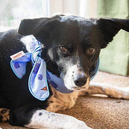 Rosewood Dog Cooling Neckerchief - small