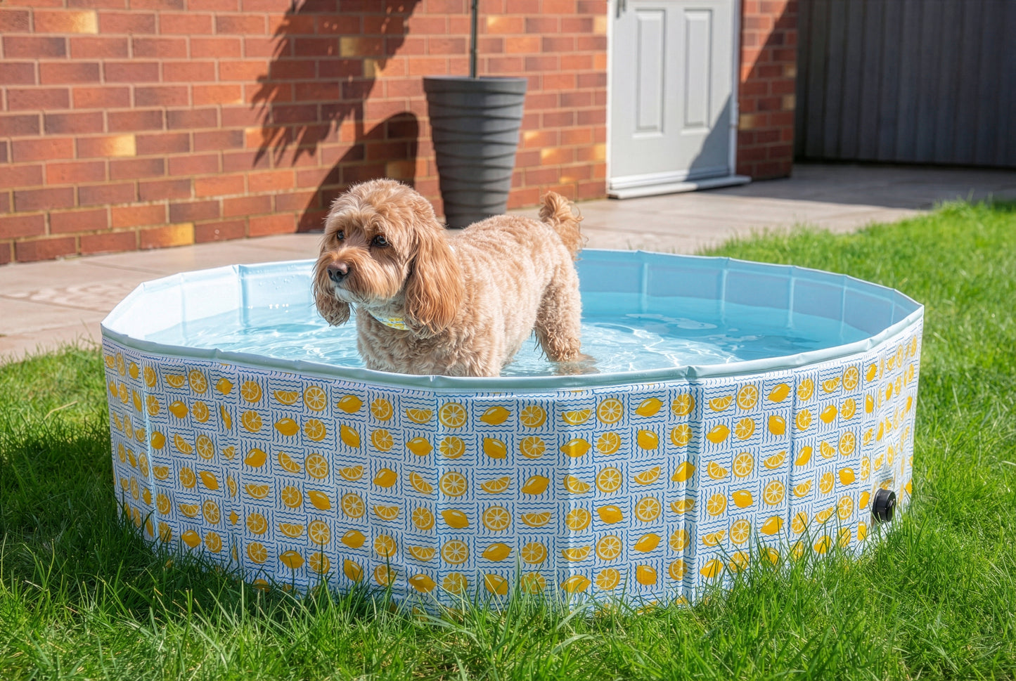 Rosewood Paddling Pool - Lemon Print 120x120x30cm