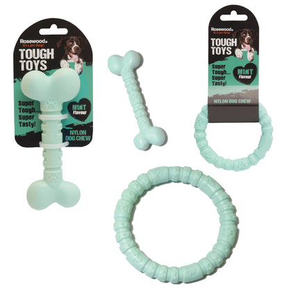 Nylon Lg Bone Mint