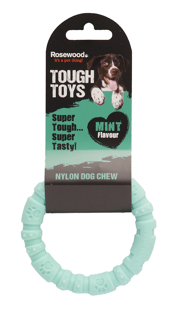 Nylon Lg Ring Mint