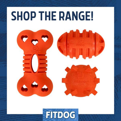 Fitdog Spikey Ball Throw Toy