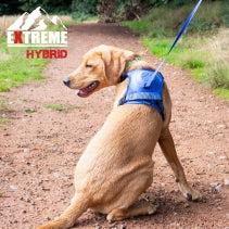 Extreme Hybrid Harness Aqua Blue L