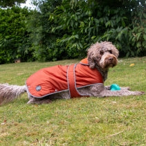 Storm Guard Small Terracotta Coat