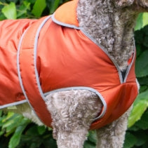 Storm Guard XXL Terracotta Coat