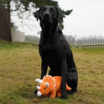 Cuddle Roarsome Dino's