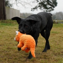 Cuddle Roarsome Dino's