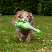 Cuddle Roarsome Dino's