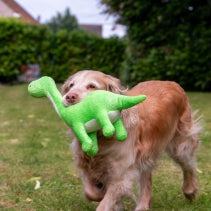 Cuddle Roarsome Dino's