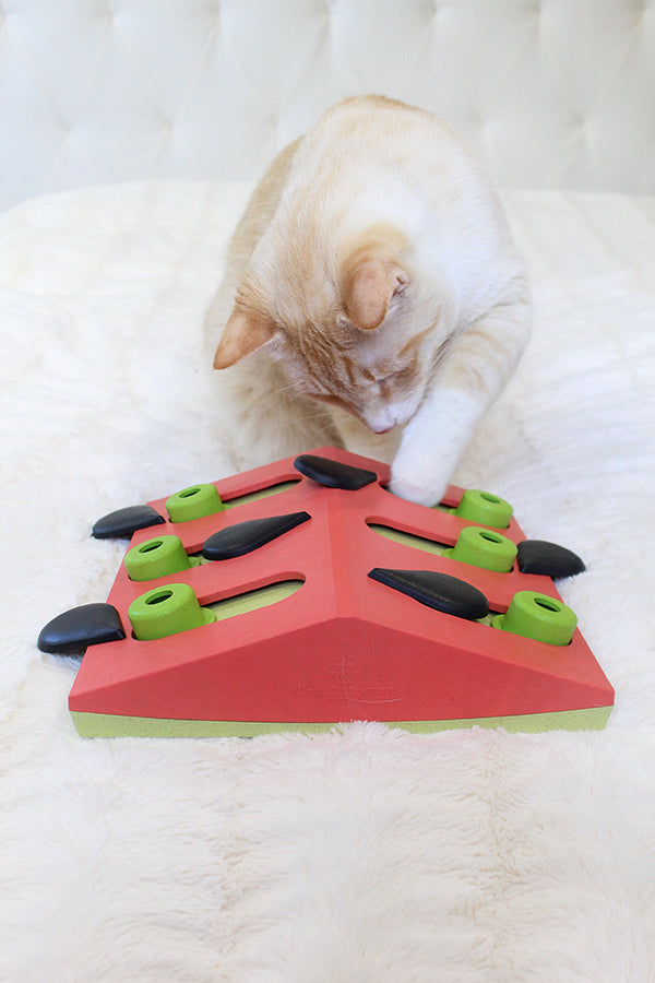 Nina Ottoson Melon Madness Puzzle & Play Cat Enrichment Toy