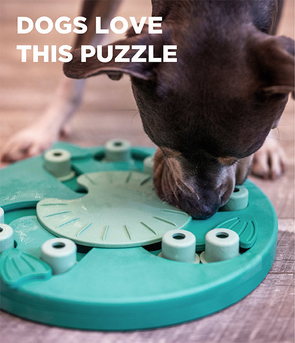 Nina Ottosson Dog Worker Green Dog Puzzle Toy