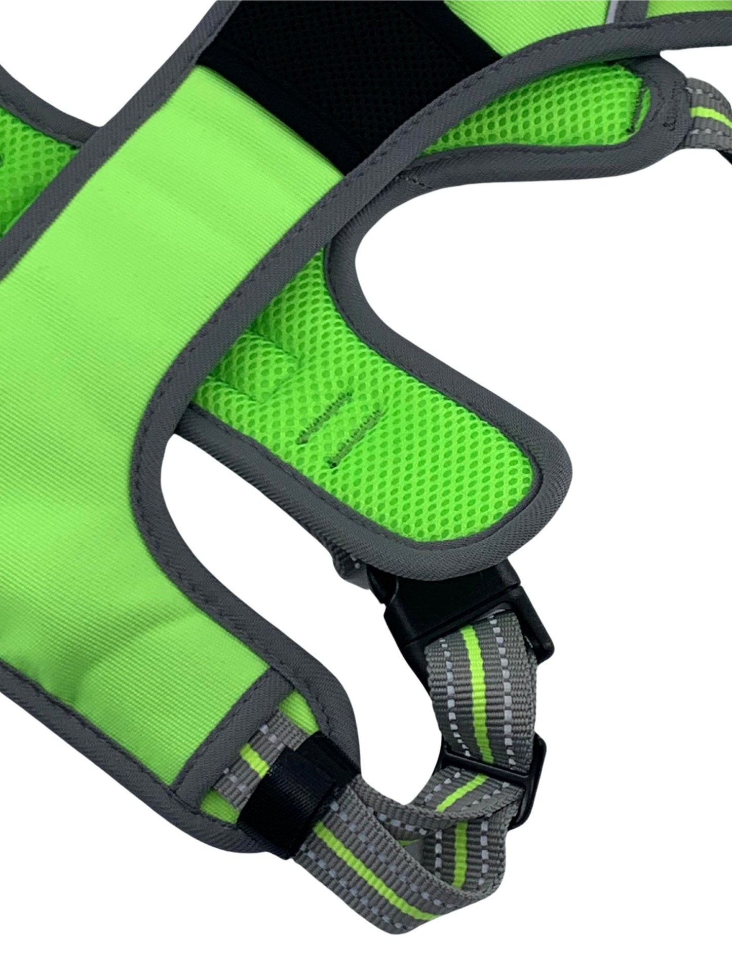 XL Sports Harness Lime