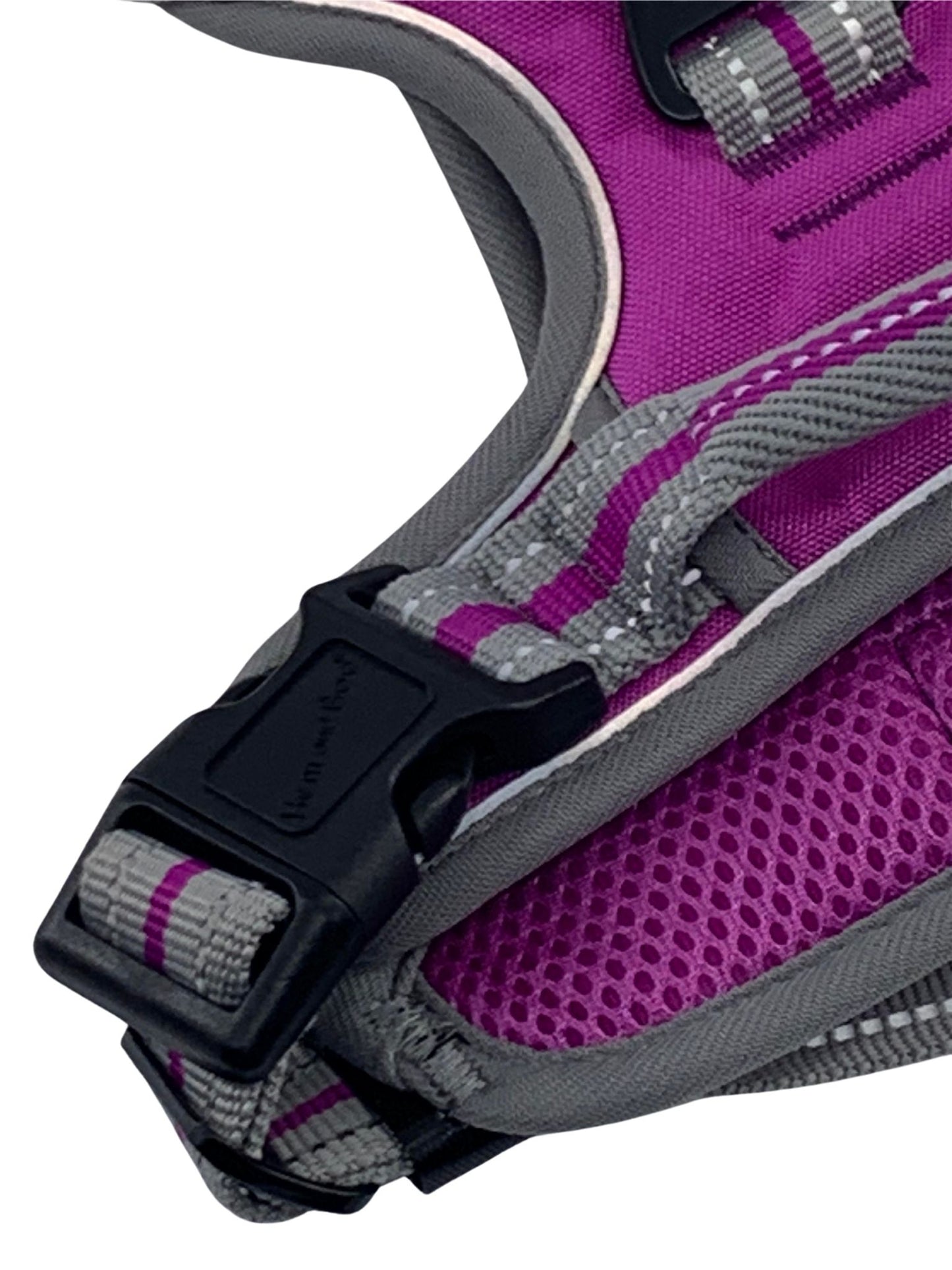 Medium Sports Harness Purple