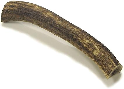 Large Whole Antler