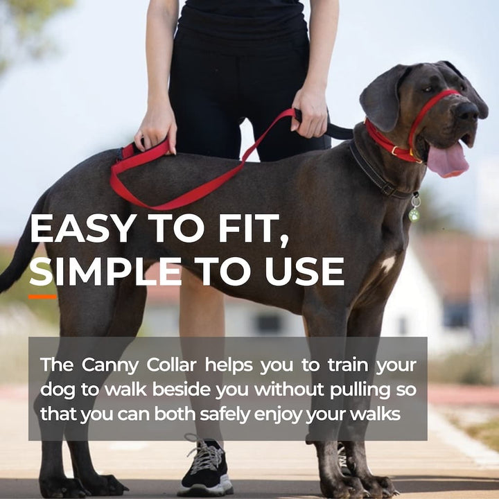 Canny Collar No-Pull Dog Headcollar - Black – Size 7