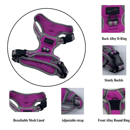 Medium Sports Harness Purple