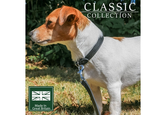 Ancol Leather Dog Collar Black