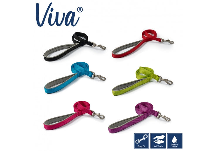 Lime 3/4" Padded Nylon Lead