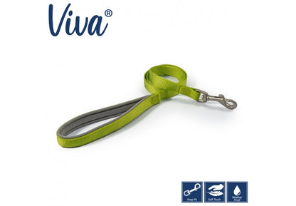 Lime 3/4" Padded Nylon Lead