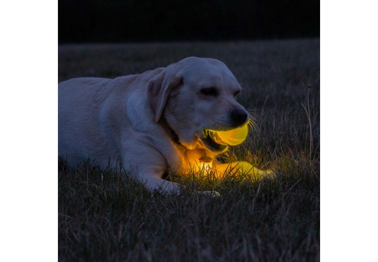 Rechargable LED Ball Yellow
