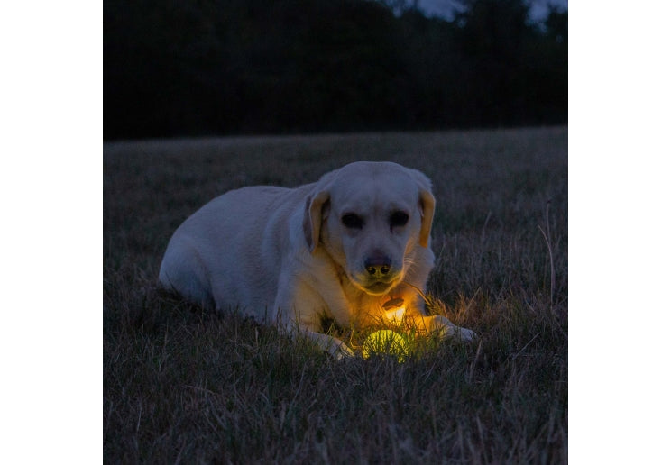 Rechargable LED Ball Yellow