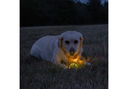 Rechargable LED Ball Yellow