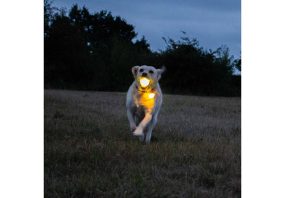 Rechargable LED Ball Yellow