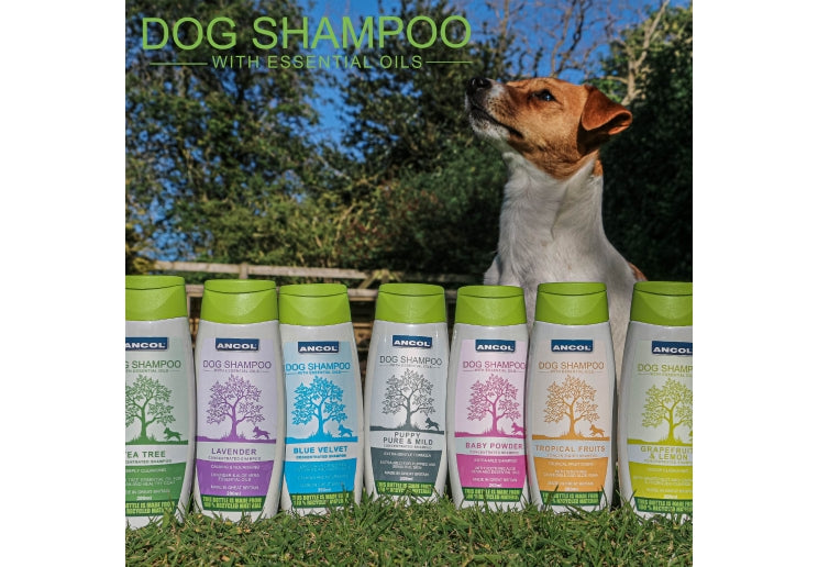 Ancol Tropical Fruits Dog Shampoo 200ml