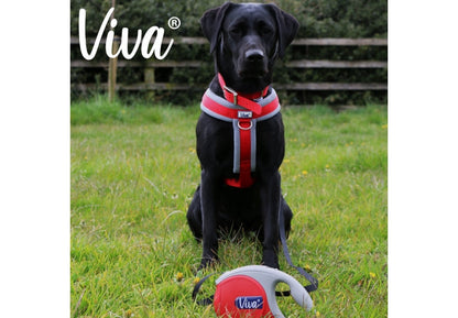 Small Viva Red Retractable Lead