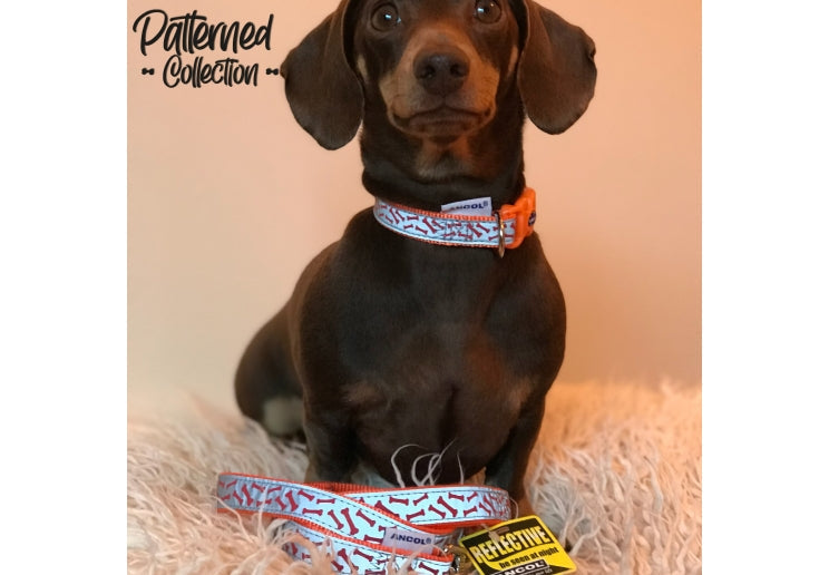 Reflective Patterned Bone Collar Orange Size 2-5