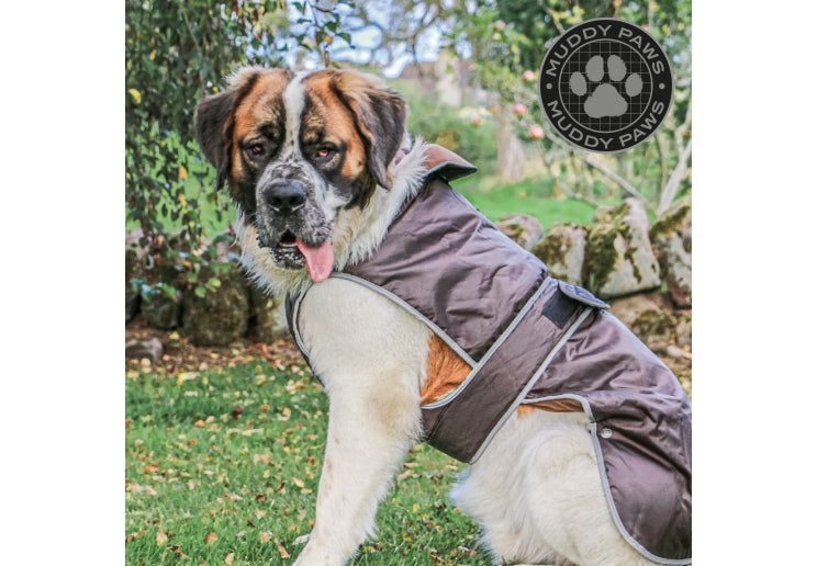 Storm Guard Small Choc Coat