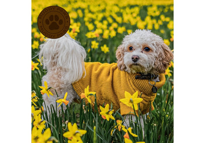 Small Mustard Cable Knit Jumper
