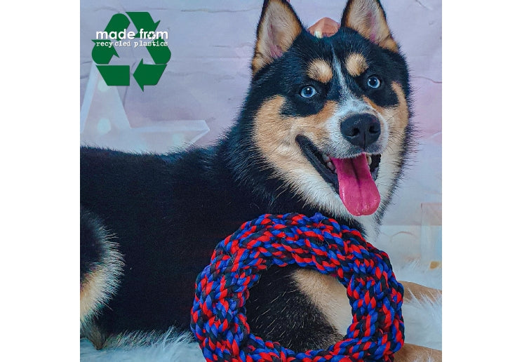 Recycled Chew Ring Small