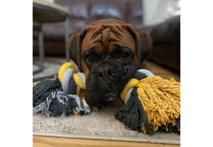 Jumbo Jaws Super Rope Dog Toy 54cm