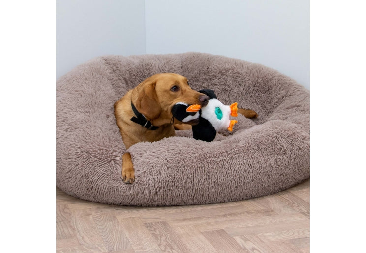 Orva Tough Tummies Puffin Treat Belly