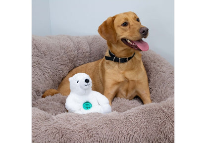 Orva Tough Tummies Bear Treat Belly