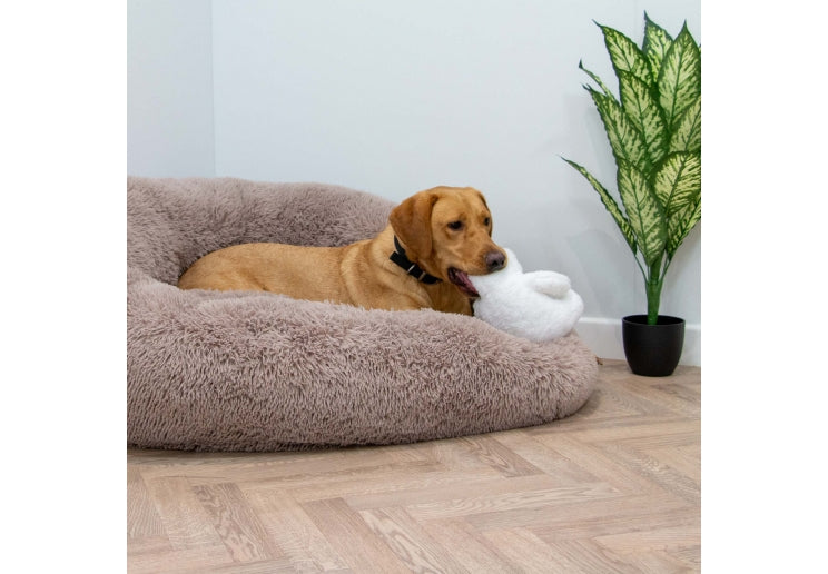 Orva Tough Tummies Bear Treat Belly