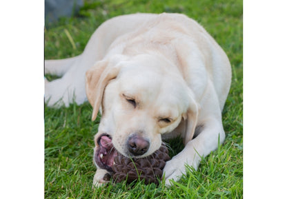 Ancol Orva Pine Cone Treat Dispensing Dog Toy