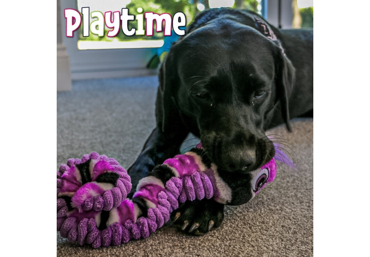 Playtime Curly Caterpillar Dog Toy