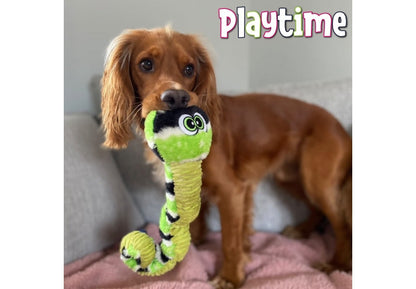 Playtime Curly Caterpillar Dog Toy