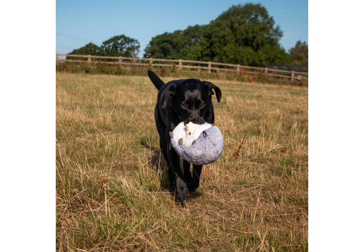 Heritage Harry Hedgehog