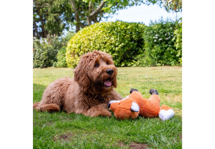 Heritage Felicity Fox