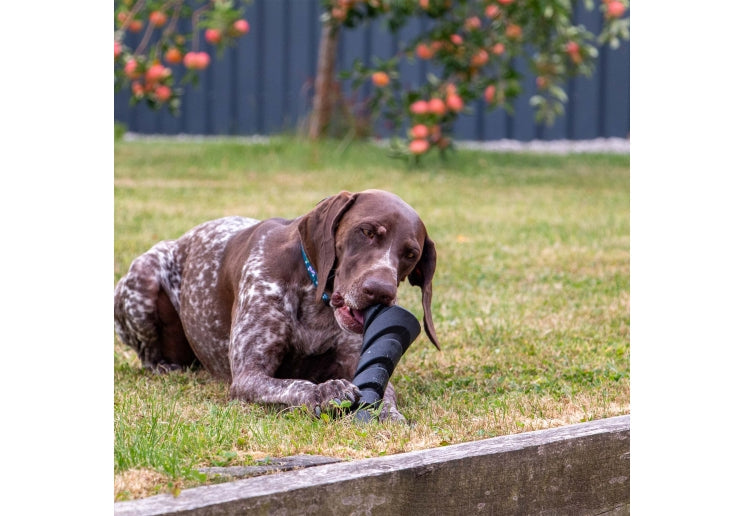 Tough Treat Dispenser