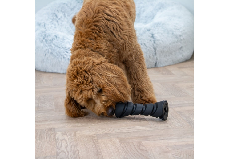 Tough Treat Dispenser